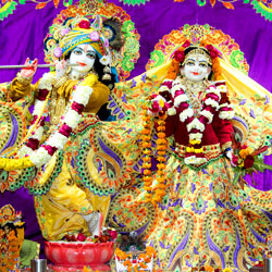 lord_krishna